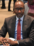 Mamadou Mamour Diallo