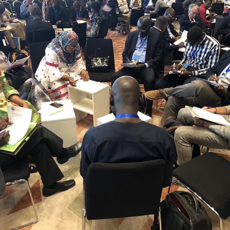 Le comité AAE/Sénégal organise un panel le 22 janvier 2020